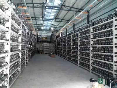 A large mining farm with rows of ASIC miners humming away.