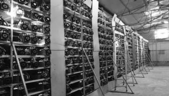 Advanced mining farm in Dubai